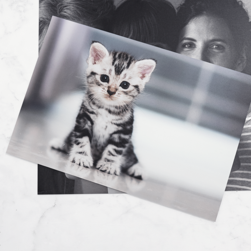 Foto op Aluminium - Afbeelding 5
